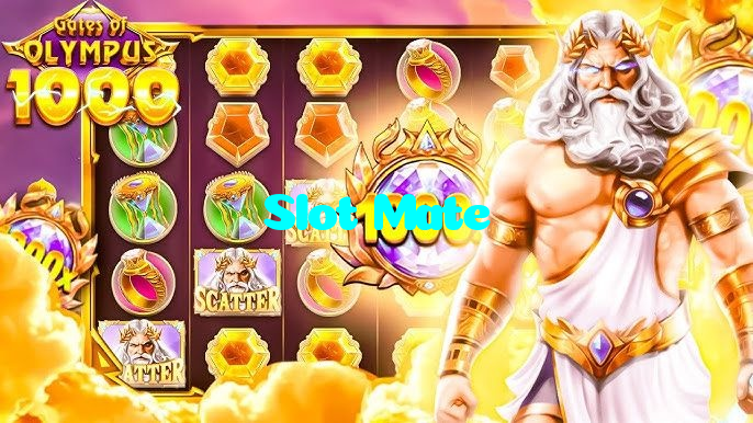 available types of Slot Mate bet including pre-match live express and system bets